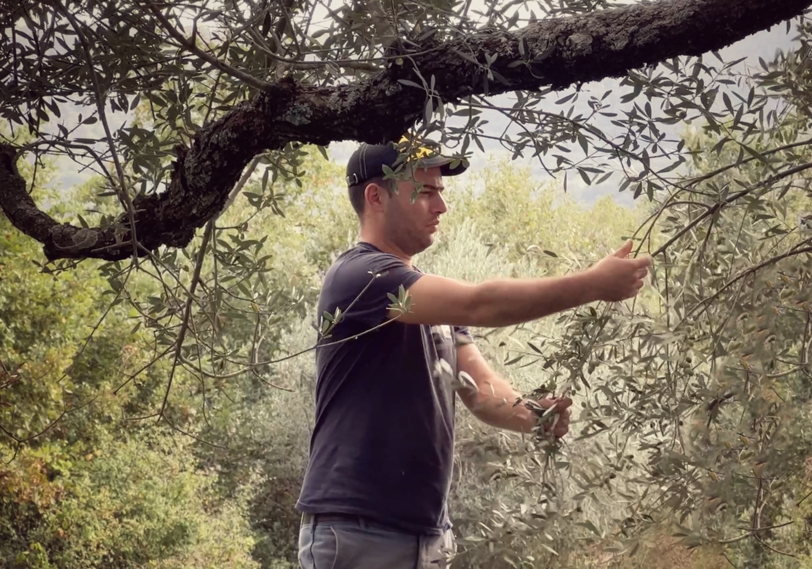 Luca Chiovelli nell'orto, Valle Perlata, Montefiascone