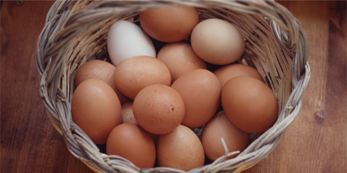 Fresh Eggs from Luca Chiovelli's Farm