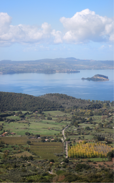 Terreno di Luca Chiovelli