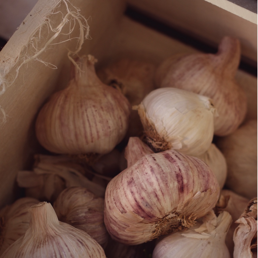 Aglio