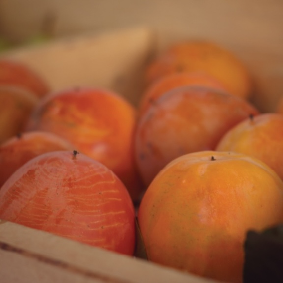 Persimmons