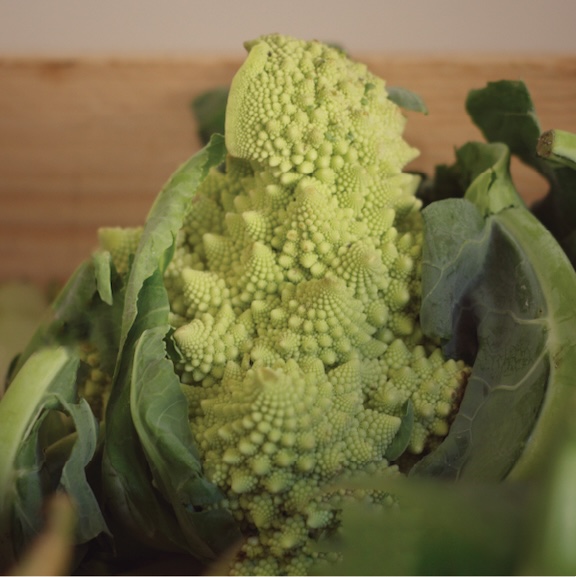 Roman Broccoli