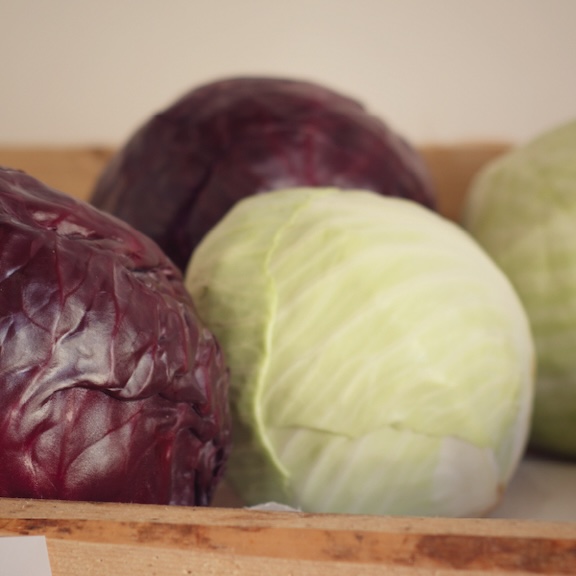 Red & White Cabbage