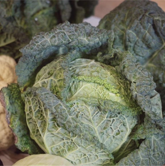 Savoy Cabbage