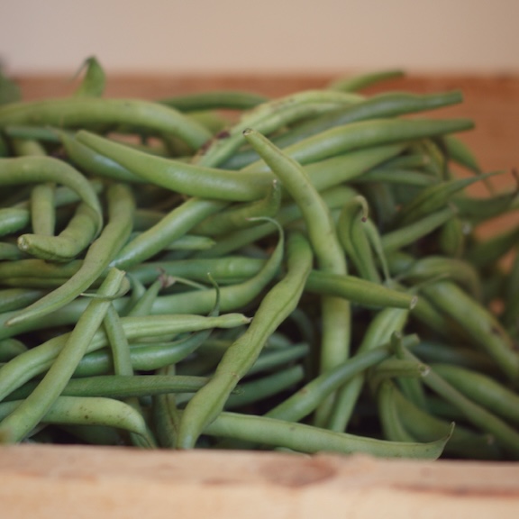 Green Beans