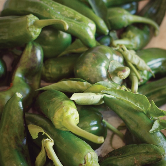 Green Friariello Bell Pepper